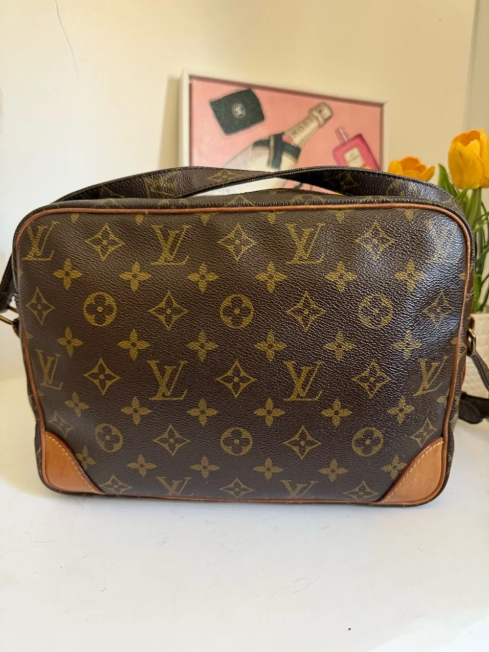 Louis Vuitton Nile Monogram Canvas Messenger Bag - Picture 3 of 14